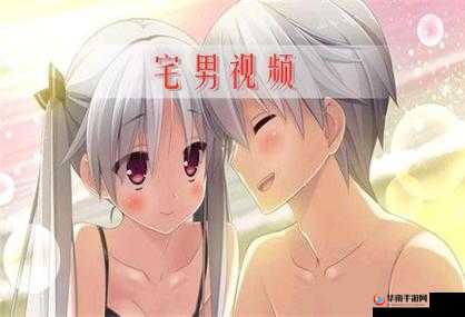 宅男视频无病毒下载资源推荐