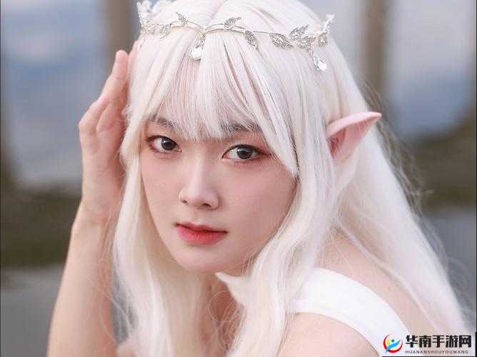 b 站入口 2024 永不关闭：永恒的精彩之地