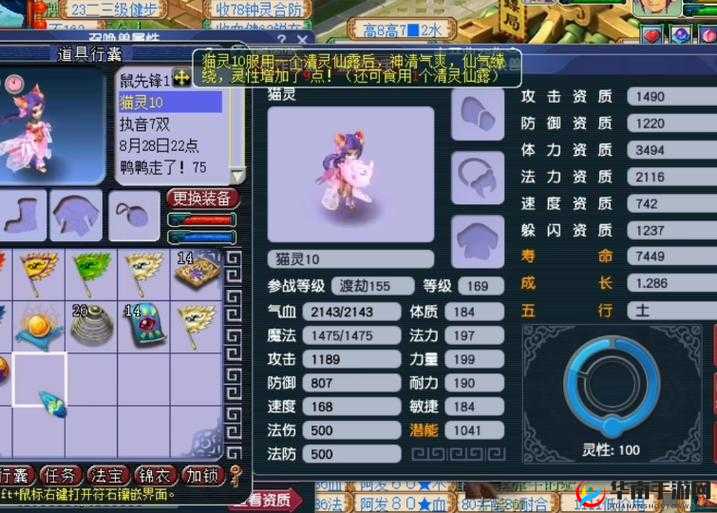 梦幻西游无双版人形猫灵攻略：打书推荐与策略深度解析