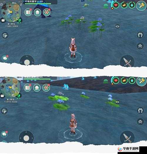 探寻创造与魔法中秘法灵龙的神秘抓捕之地