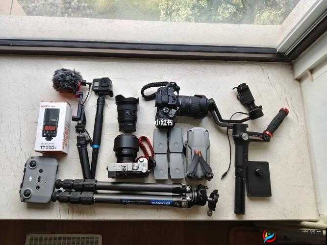 ZOOMSERVO 兽 mt7：一款强大的设备