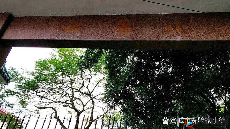 魔剑侠缘装备置换攻略：随机触发小惊喜等你来探索