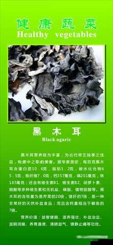 老婆的木耳能吃吗:探讨食物安全性