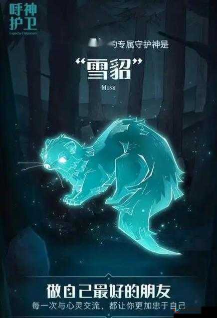 哈利波特魔法觉醒：守护神神秘图鉴大全揭秘