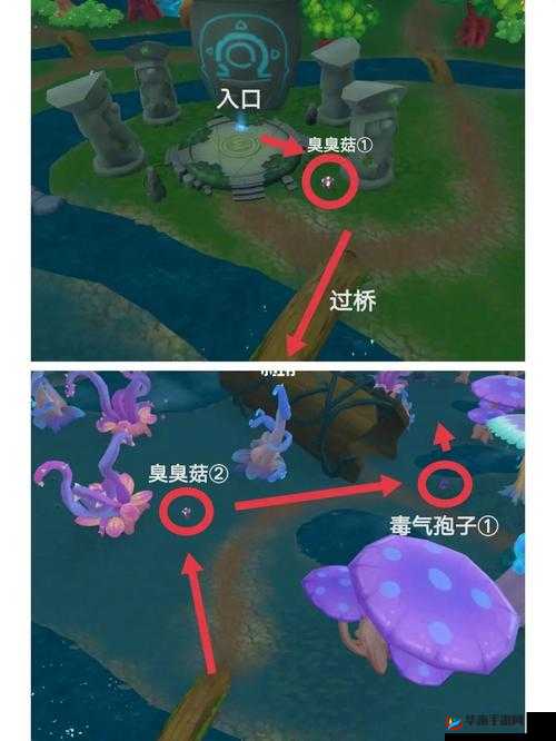 摩尔庄园迷雾吊桥通过方法详细解读及技巧分享