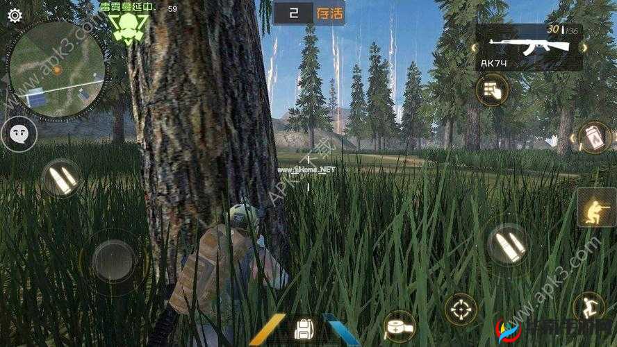 丛林法则手游攻略详解：新手玩转大逃杀，丛林法则游戏必胜秘籍揭秘