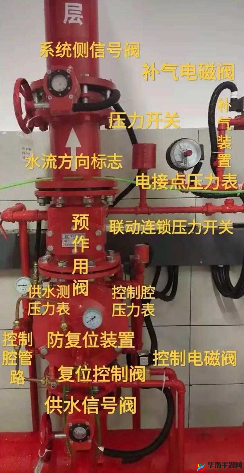 冒险与深渊佣兽系统详细介绍及佣兽玩法全面分享