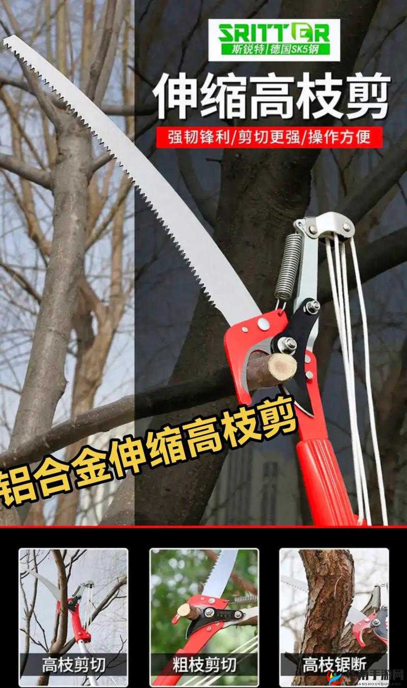 墨三国内政任务高效率完成方法介绍