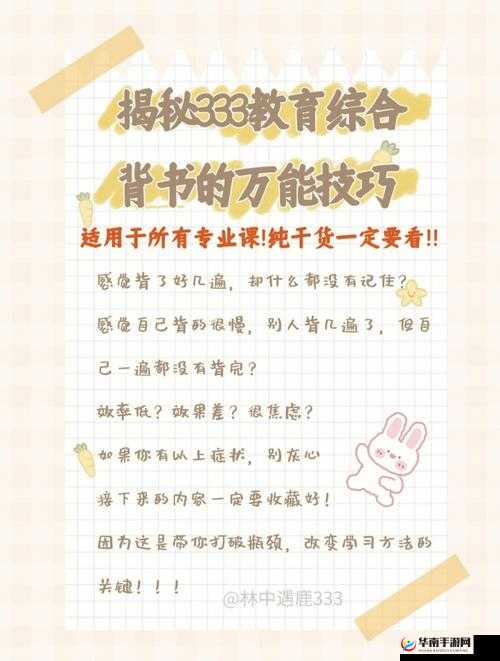 新手必读：王的崛起——详细揭秘各类实用小技巧