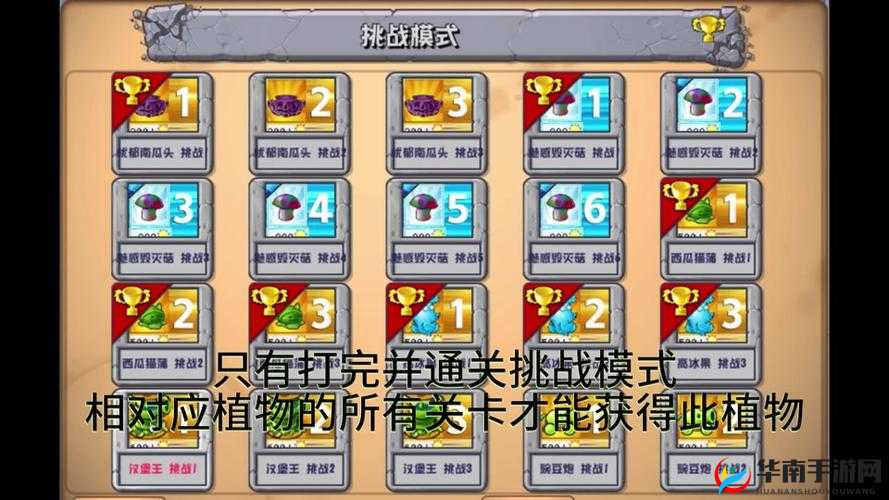 梦想星城杨桃攻略：星通关技巧详解与指南，探索杨桃关卡轻松通关之路