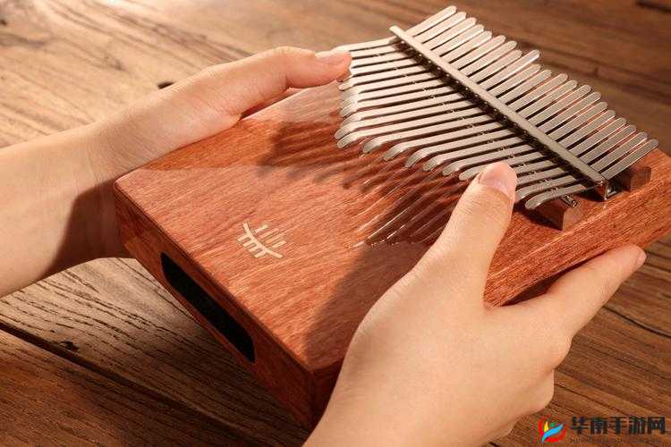 疯狂拨动我的小句号:探索其背后的奥秘