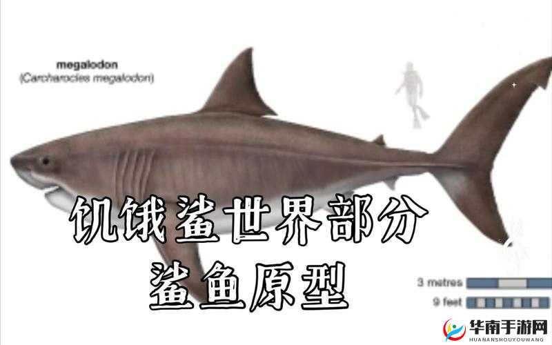 巧用道具，饥饿的鲨鱼尼罗鳄也能轻松击杀