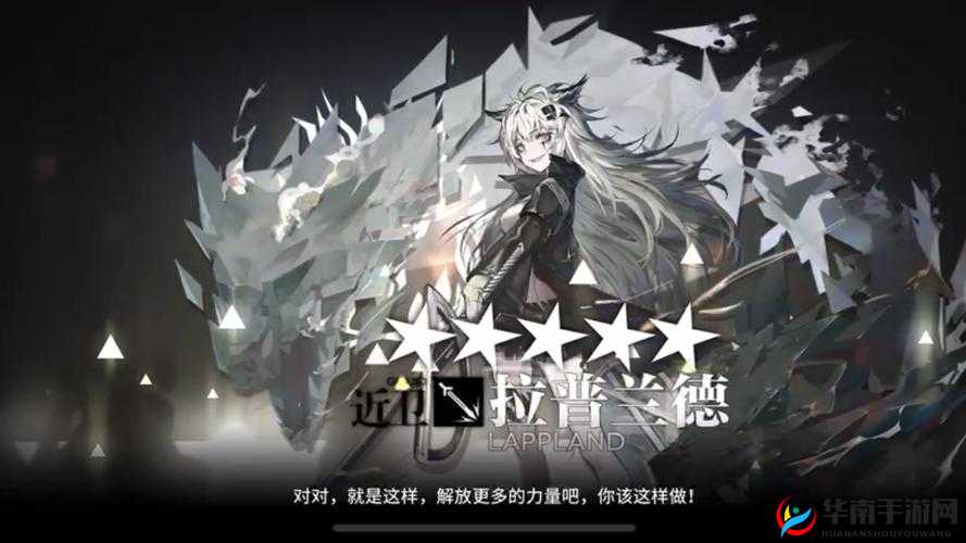 精二和精三有何不同：深度剖析与对比