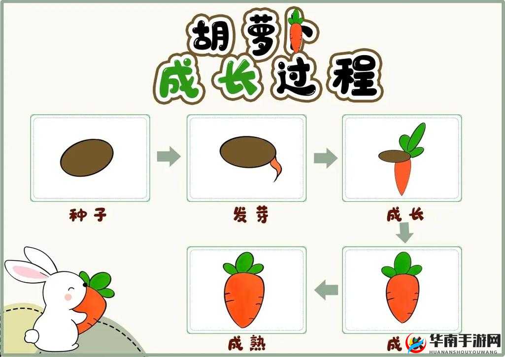 《新手必看：迷你世界胡萝卜种植技巧》