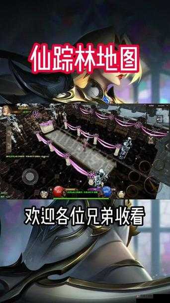 仙踪林company-limited软件介绍-画质播放详情