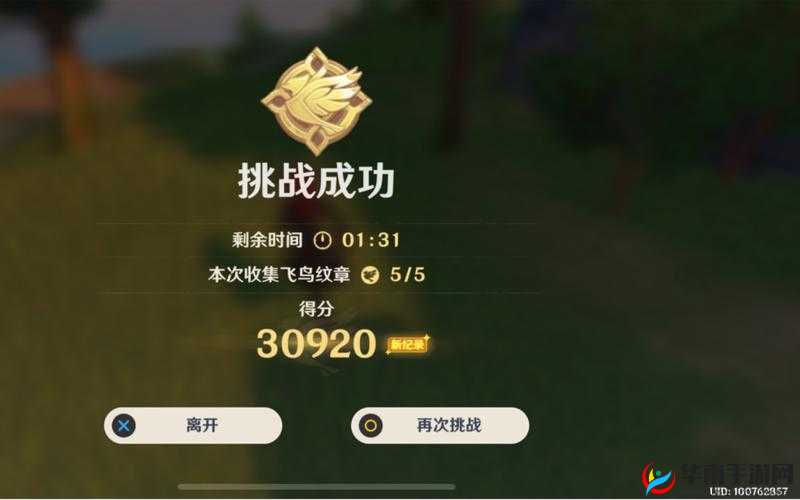 原神飞行挑战第七天：三万分及五枚纹章达标攻略