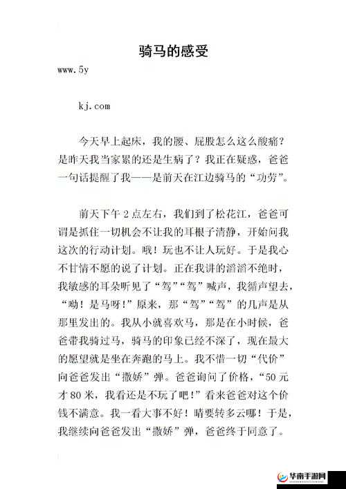 深入交流骑马：技巧与心得分享