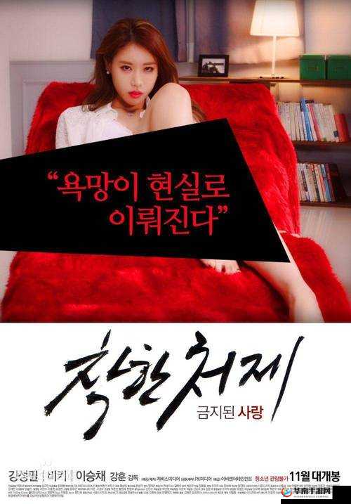 日韩五级片：成人伦理电影的巅峰之作