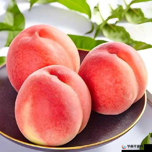 精产国品一二三产品蜜桃：多汁甜美的水蜜桃