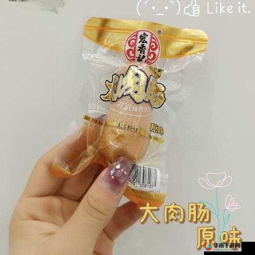 小洞需要大肉肠指什么：背后的含义探究