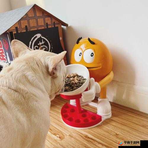 哈昂啊嗯的奇妙体验