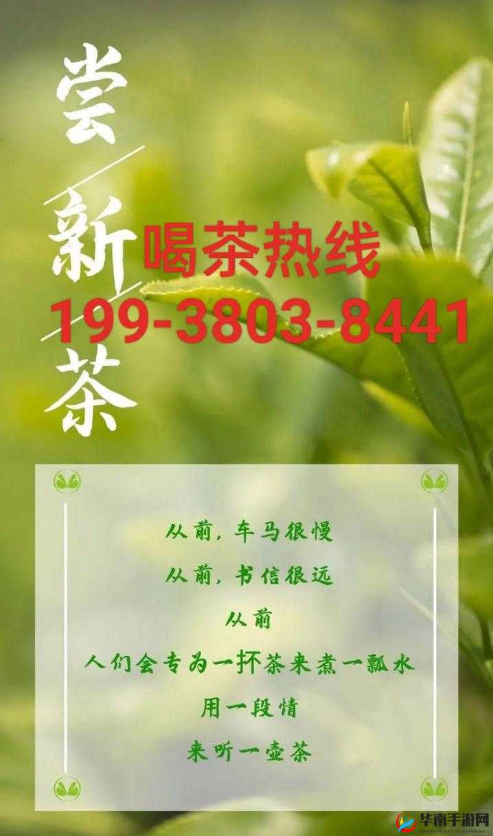 三亚新茶嫩茶 wx 品鉴交流好去处