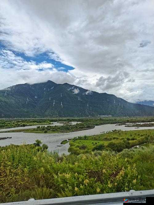 剑侠情缘手游凌绝峰林海攻略详解：林海打法技巧全面解析与通关指南