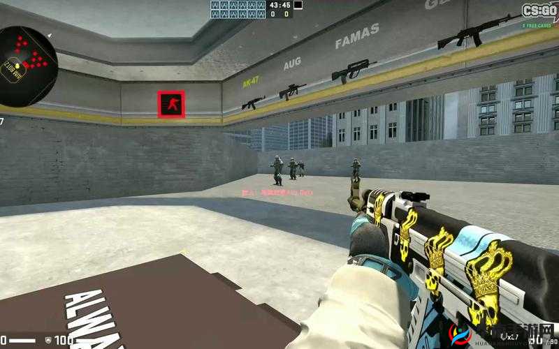 17 岁俄罗斯 CSGO 加入了全新视频:精彩呈现