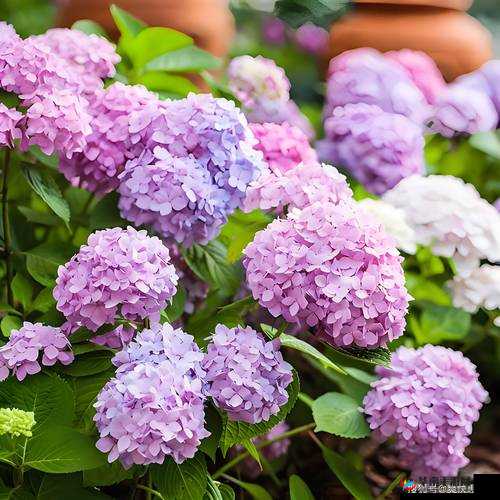 天天酷跑中绿巨熊与吸血喵全方位对比：特性性能及选择指南