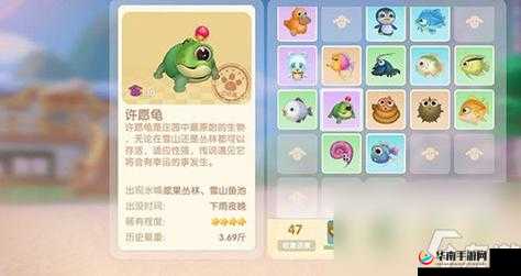 摩尔庄园许愿龟究竟有何作用 全面详细的许愿龟作用大揭秘