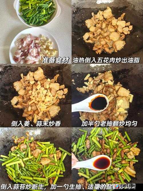 大香煮 2024 一人一煮：使用方法详解