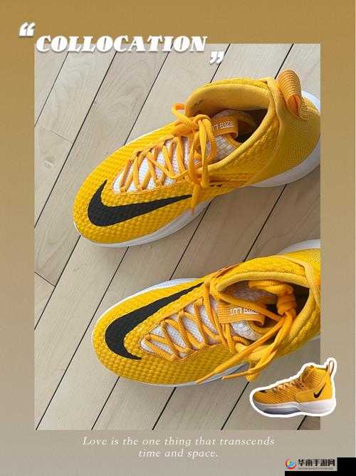 欧洲 ZoomOneBusiness：优质商务平台引领潮流