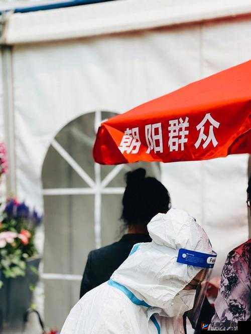 朝阳群众：51cgfun4往期内容揭秘