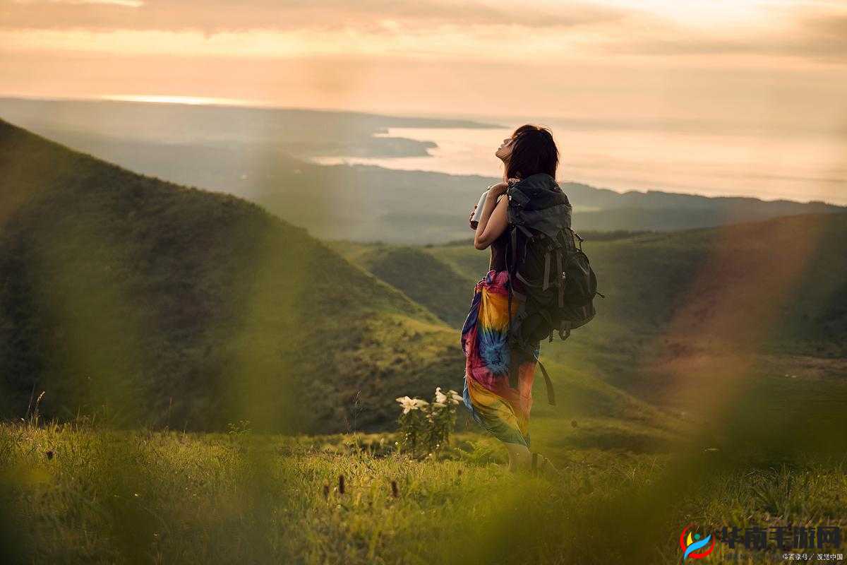 2024 海角最新回家路人生百态：探寻心灵归途