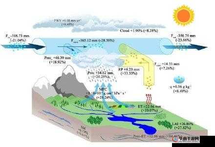 口曝吞精婷婷：探索两性关系的新视角