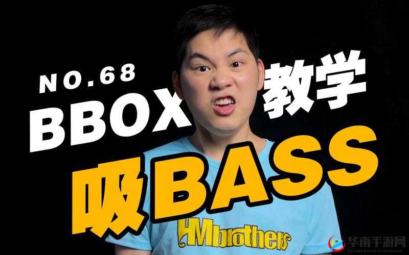 BBOX 入门 BASS 将与狼群合作出品之新手教程