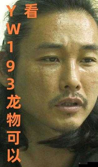 YW193 龙物最新：成人影视的巅峰之作