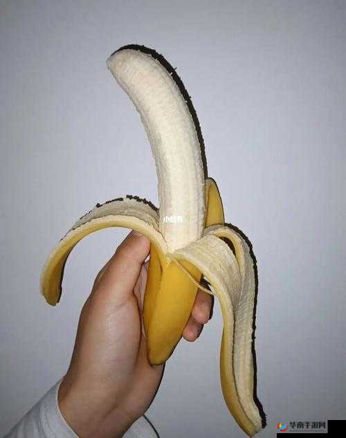 午煮香蕉小辣椒正式推出高清版：精彩不容错过