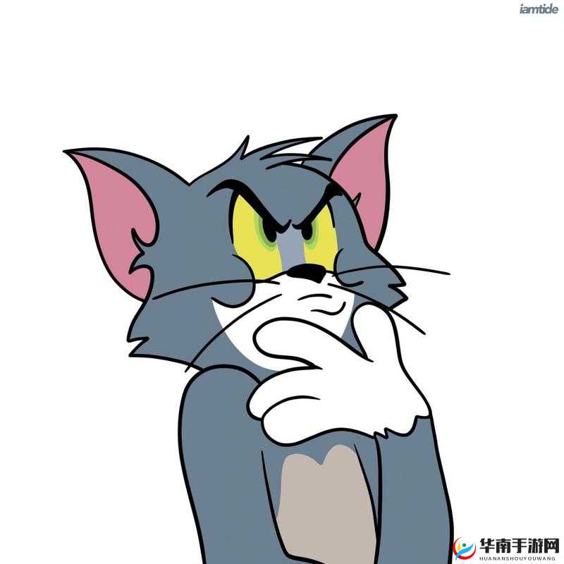 tom390 汤姆的独特魅力