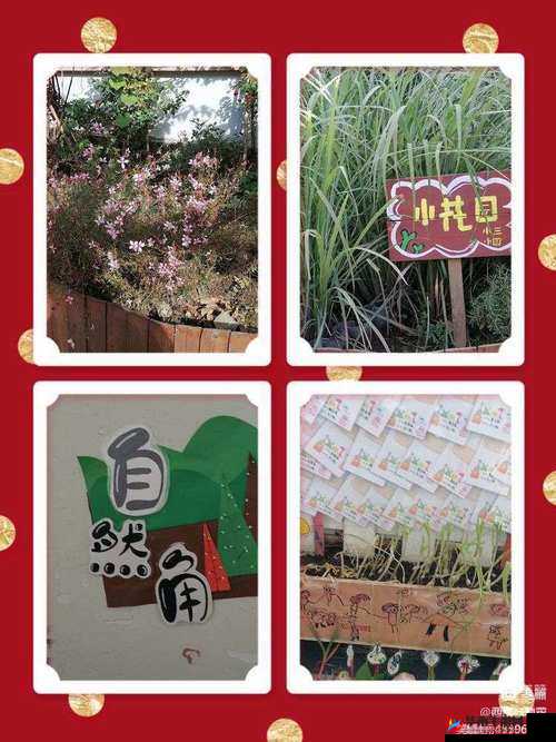 亲小花园的时候需要垫枕头吗:探究这个问题的答案