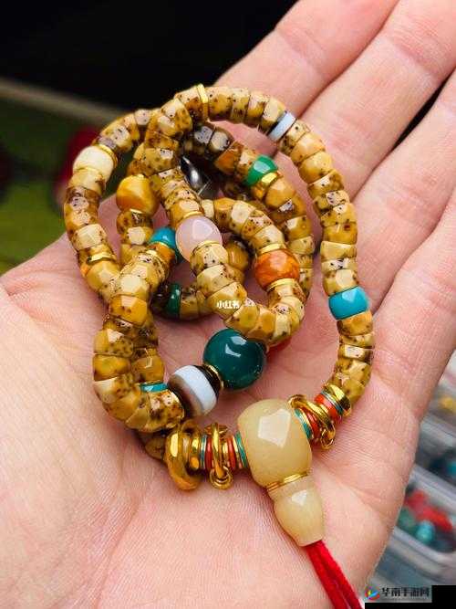 mofermagic 高端大肠交介绍：极致体验，探索未知的私密世界