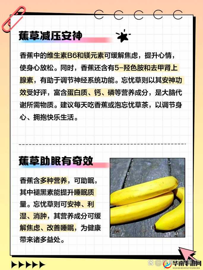 香蕉和忘忧草的区别：形态与功效对比