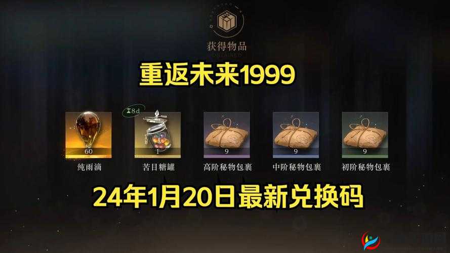 重返未来 1999 兑换码：WVWR9433