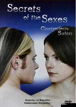 男女之间的唏唏哩哩：探索两性关系的奥秘