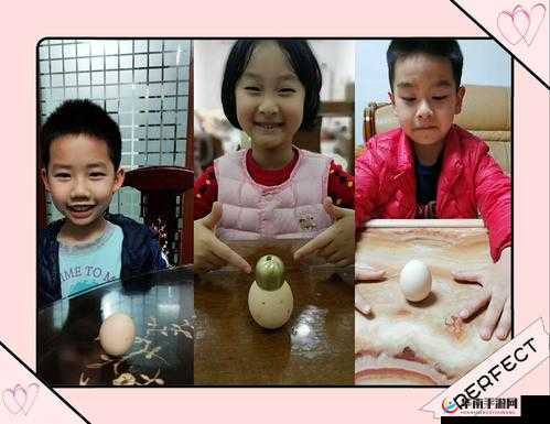 蛋蛋立了长什么样子呢：探寻其模样