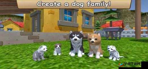 美国 ZOOM 动物欢迎您!- 探索奇妙动物世界