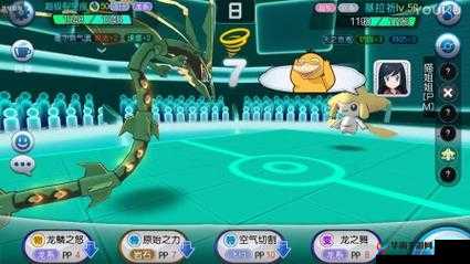 《口袋妖怪VS：技能大比拼视频》