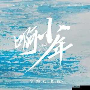 少年啊 BGM 全集在线阅读免费下载及相关资源