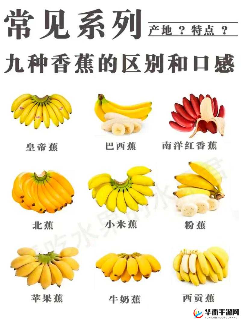 香蕉十八度和二十三度的区别：影响及特点