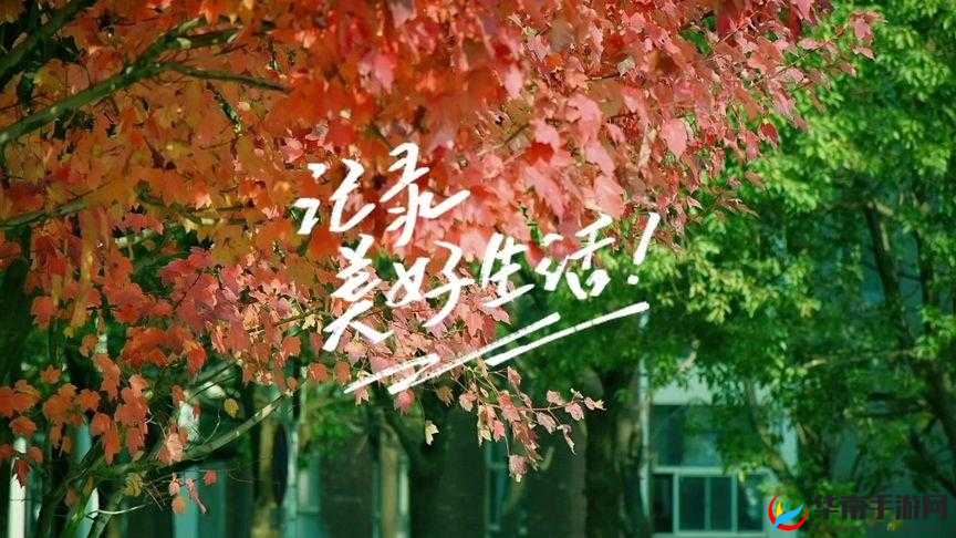 记录美好生活：短视频，让世界点赞